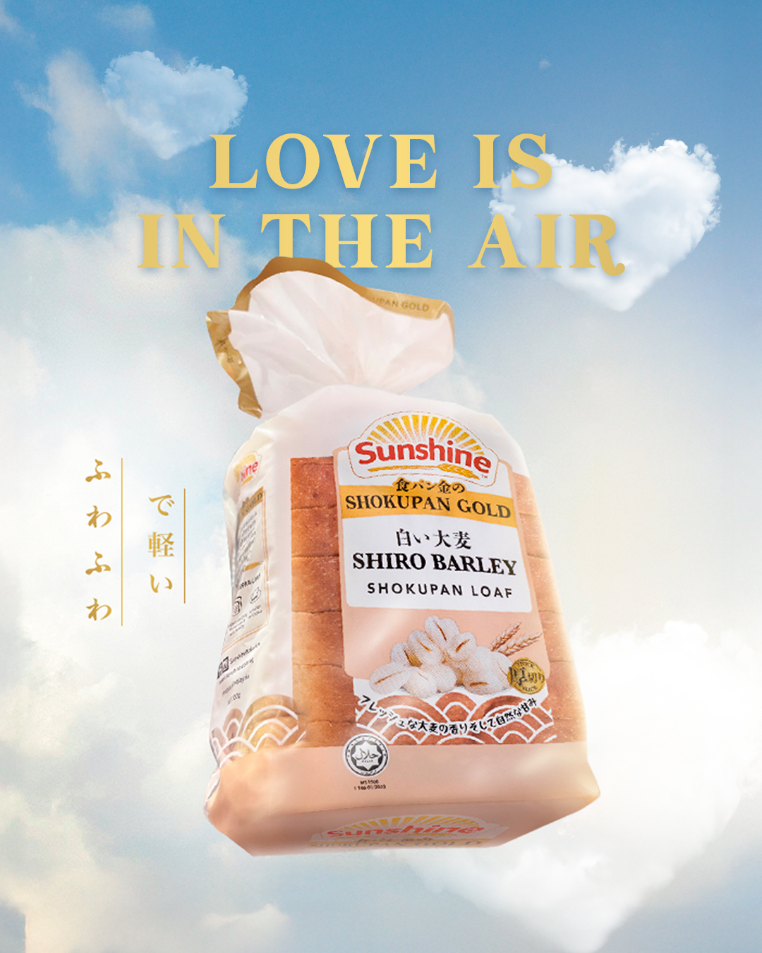 Sunshine social media post 3